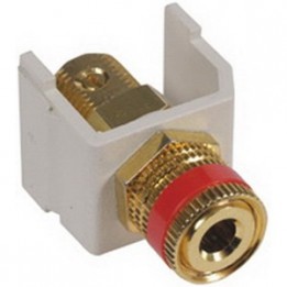 HUB-SFSPGRW Speaker Binding Post - Gold/Red Stripe - White