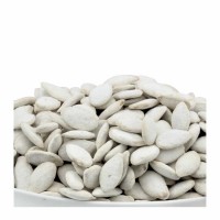 18-102-1 SQUASH SEEDS RAW JUMBO         50 LB