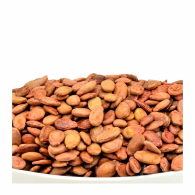 18-265-1 PERSIAN RED MELON SEEDS 20 LB