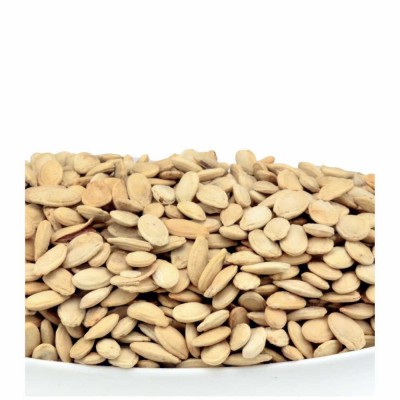 18-276-1 SUPER SEED                     20 LB