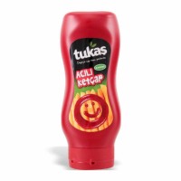 25-198-1 TUKAS KETCHUP HOT 12/480 ML