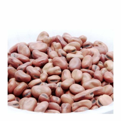 29-137-1 DRY FAVA MEDIUM               50 LB