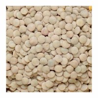 29-270-1 SMALL GREEN LENTILS 50 LB