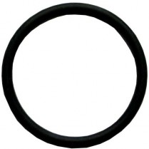 RD-115 Delany FV "O" Ring