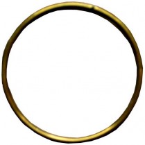 RD-116 Delany FV Clamping Ring