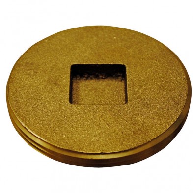 ZL-CP1 2" Countersunk Head Brass Plug
