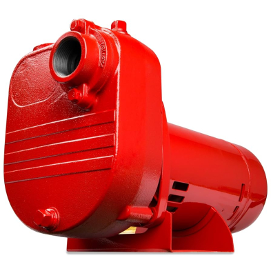CTS-3125344 3125-344 HH REDLION PUMP