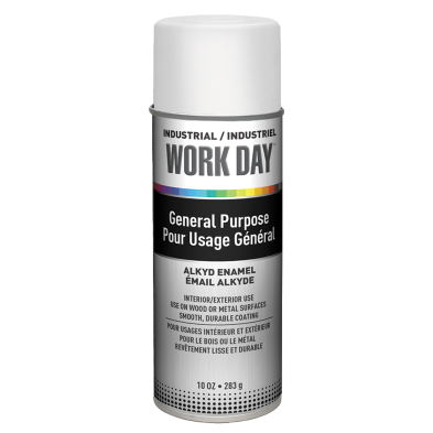 PA1-PAINTAFW #A04422007 SPRAY PAINT ENAMEL FLAT WHITE 10OZ