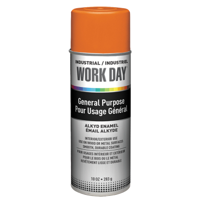 PA1-PAINTAO #A04413007 SPRAY PAINT ENAMEL ORANGE 10OZ