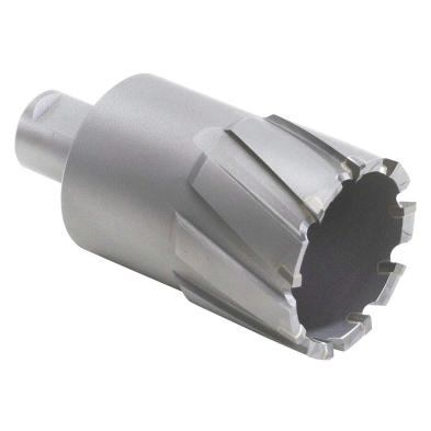 WAL-05D313 05D313, 13/16X2 LAME CARBURE CORE CUT