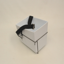 MS-ASPBOX COMPLETE ASPARAGUS PICKING UNIT