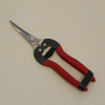 SR-GS803AS BLK GRAPE SHEAR STAINLESS CURV/THIN