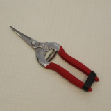 SR-GS803ASCR CHROME GRAPE SHEAR STAINLESS CURV/THIN