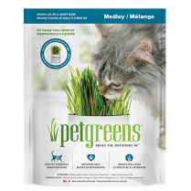 BELLROCK PetGreens Self Grow Pet Grass Medley Kit 88g