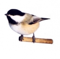 STS Backyard Blend 2kg/4.4lb