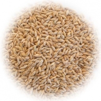 STS Canary Grass Seed 1kg/2.2lb