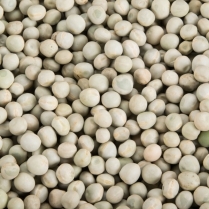 STS Peas - Whole Green  22.7kg/50lb