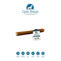 OR WB Bully 4 in WB10 SINGLES (65)