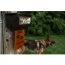 ECO SAFE COMMERCIAL Compostable Doggie Bags 700/roll (6)