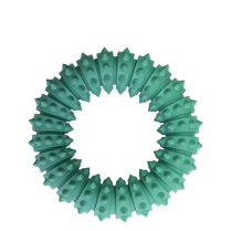 DEKI Pawtek PT2034 Toy Dental Ring-Shaped GRN LG (24)