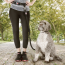 DEKI Pawtek PT3011 Waistbelt & Bungee Leash Combo BLK/GRY