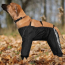 DEKI Pawtek PT9011 All-Weather Dog Pants SM SEASONAL