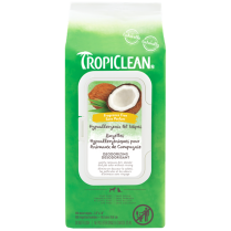TCL Hypoallergenic Deodorizing Wipes 100ct EN/FR (12) R96436