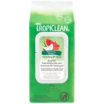 TCL Watermelon 2-in-1 Wipes 100ct EN/FR (12) R-96424