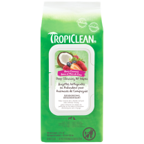 TCL Deep Cleaning Deodorizing Wipes 100ct EN/FR (12) R-96437