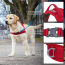 KURGO Walk About Harness Chili Red