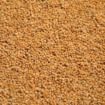 SEED TO SKY Millet German