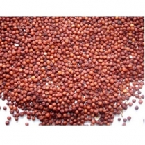 SEED TO SKY Millet Red