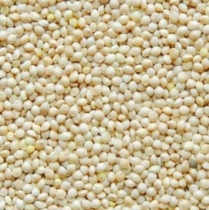 SEED TO SKY Millet White