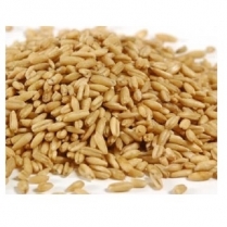 SEED TO SKY Oats-Whole Cleaned