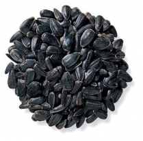 SEED TO SKY Sunflower-Black Oil