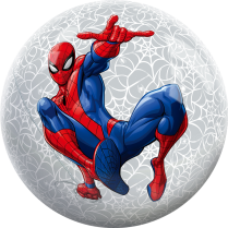 SPIDER-MAN WEB