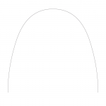 .016 NiTi Thermaflex Optiform