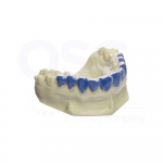 BioBleach Soft 120mm Circle x 1mm 20/BX