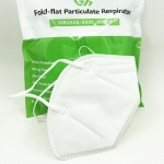N95 - Fold Flat Particulate Respirator (10 masks/Bag)