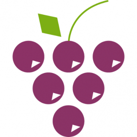 Grape Seed Extract