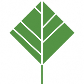 Green Tea Extract
