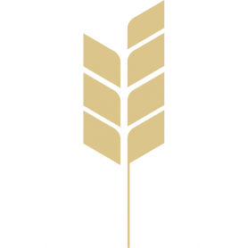 Oat Beta Glucan