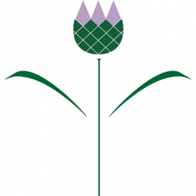 Milk Thistle Extract