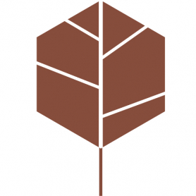 Polygonum Cuspidatum Extract