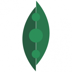 Soybean Extract