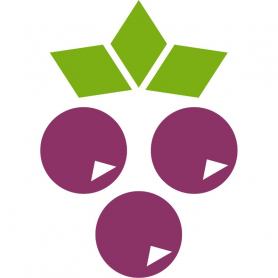 Elderberry Extract