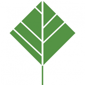 Green Tea Extract