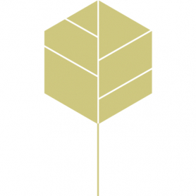 Organic Hemp Protein Powder