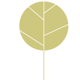 Nutritional Yeast Flake