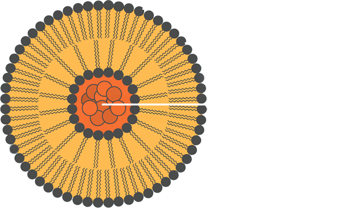 Liposome